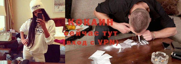 сатива Вяземский