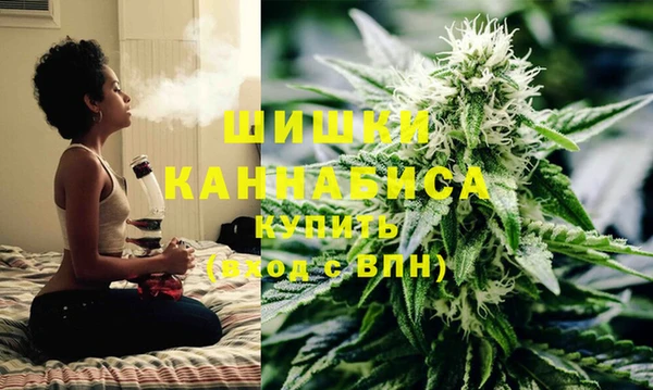 сатива Вяземский