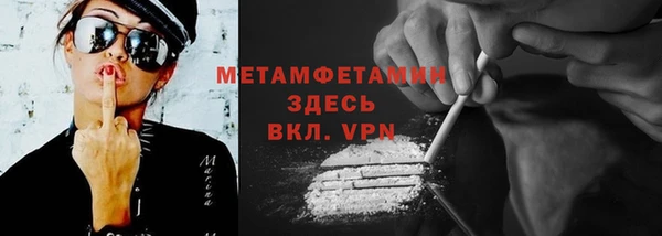 сатива Вяземский