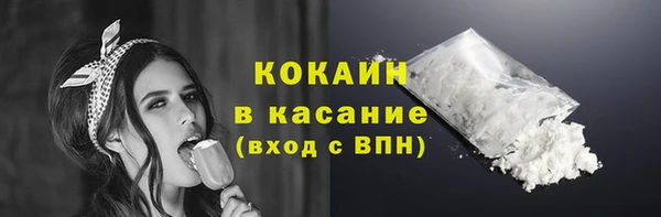 сатива Вяземский