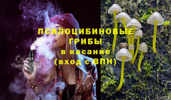 сатива Вяземский