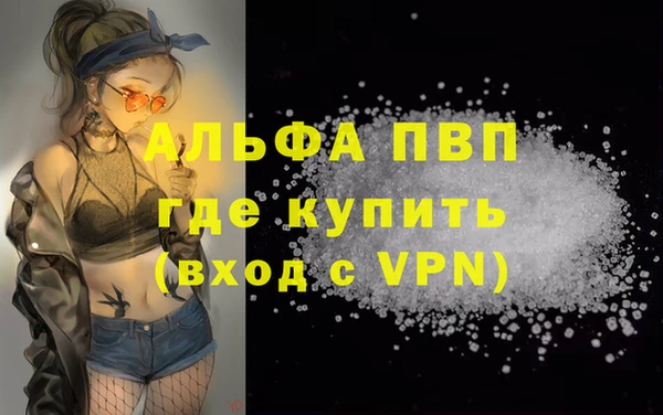 сатива Вяземский