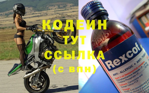 сатива Вяземский