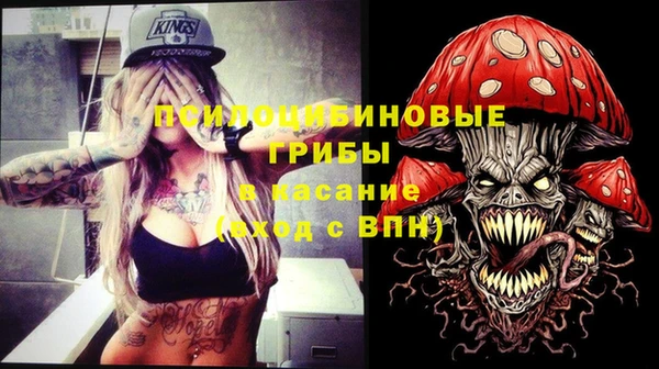 сатива Вяземский