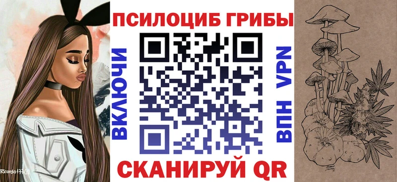 Псилоцибиновые грибы Psilocybine cubensis  Купить где  Куровское 