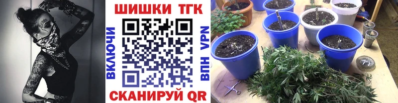 Купить закладки  Куровское  Бошки марихуана THC 21% 